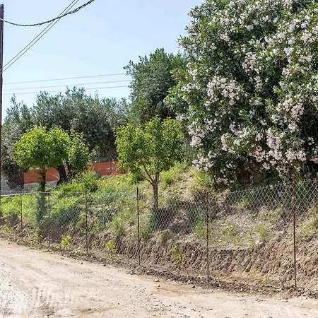 فيلة Linda Tsambika